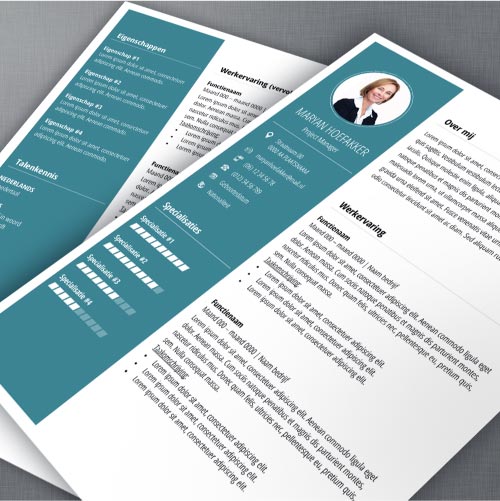 Cv voorbeeld 8