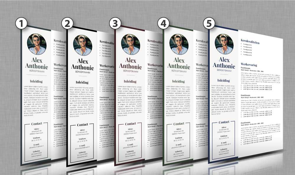 Kleuren cv opmaak 43