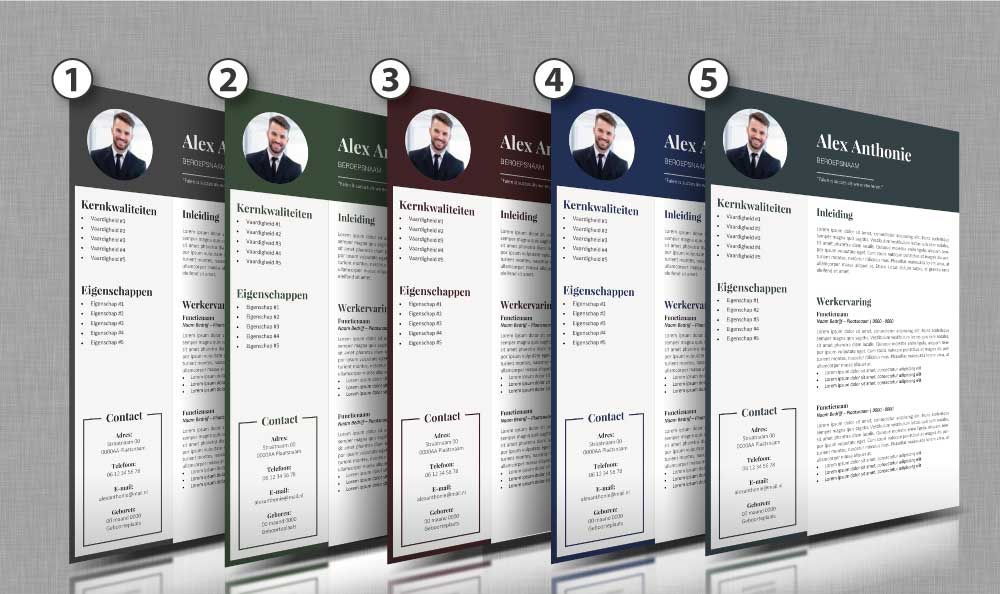Kleuren cv opmaak 45