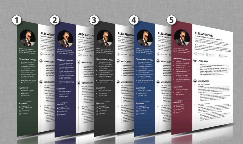 Kleuren cv opmaak 56