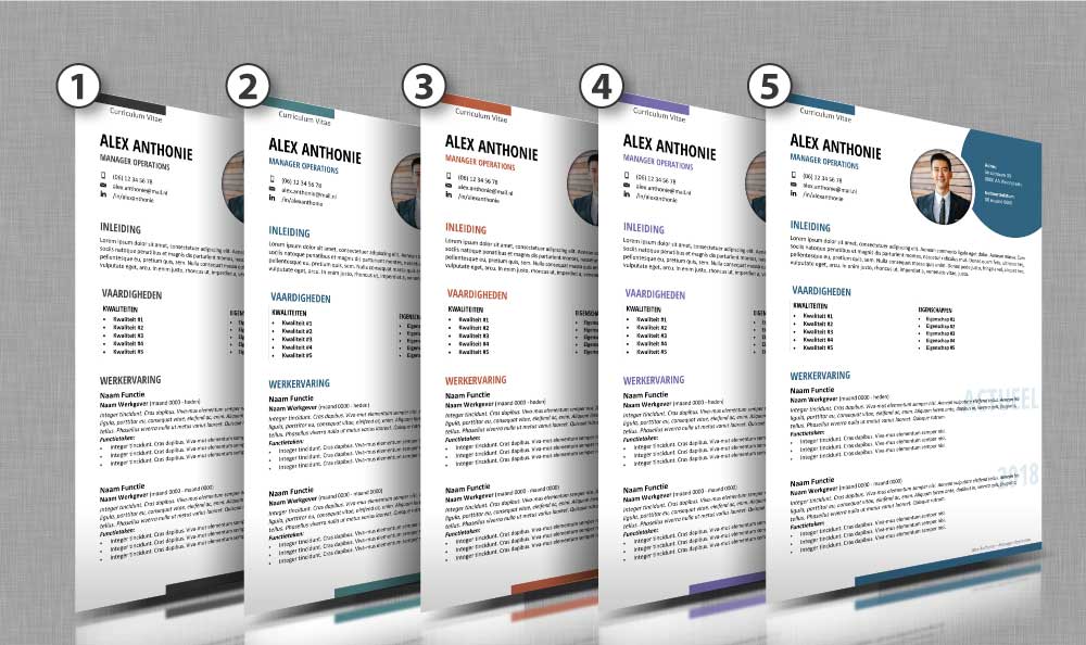 Kleuren cv opmaak 51